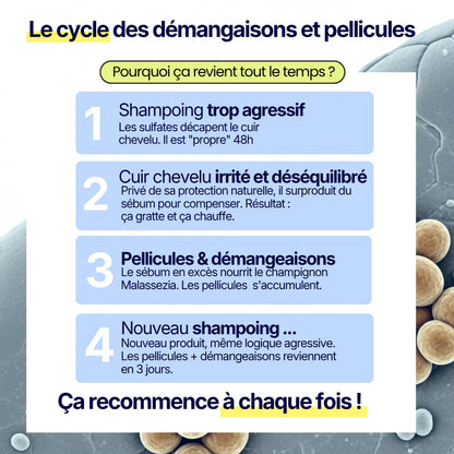 SHAMPOING SOLIDE ANTI-PELLICULAIRE · CHEVEUX & BARBE